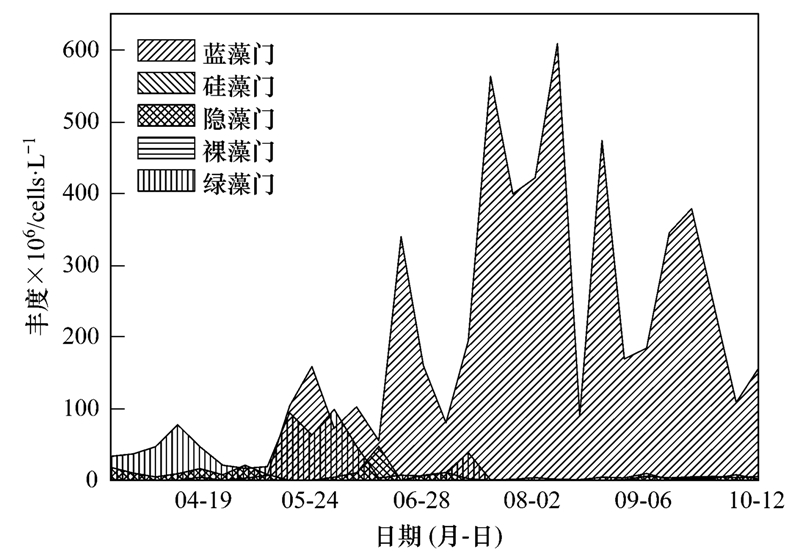 杨思涛的最新任免动态及其影响